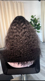 HD 13x6 FRONTAL WIG CURLY